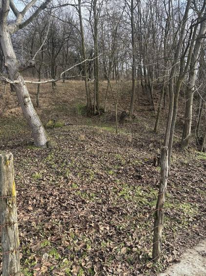 Teren de casa, livada si padure - 3