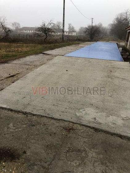 Ferma complet utilată – 30 ha teren comasat cu 11.500mp grajduri renovate Timiș - 9