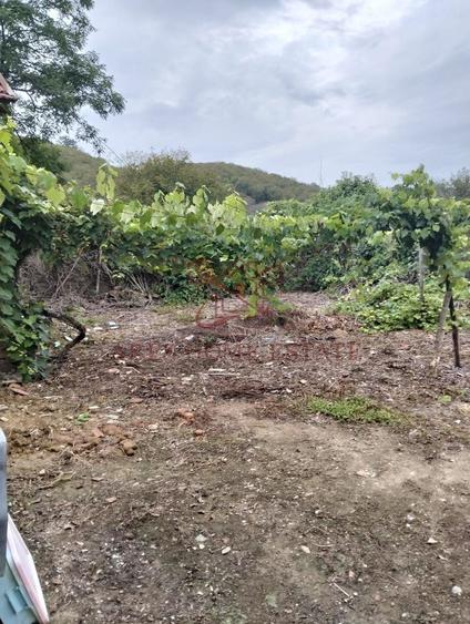 Casa spatioasa | 1500 mp teren - Ticvaniu Mare CS - 10