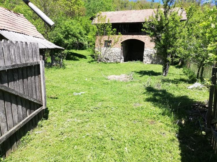 BEZDEAD - Conac 350 mp + 4800 mp teren - 8