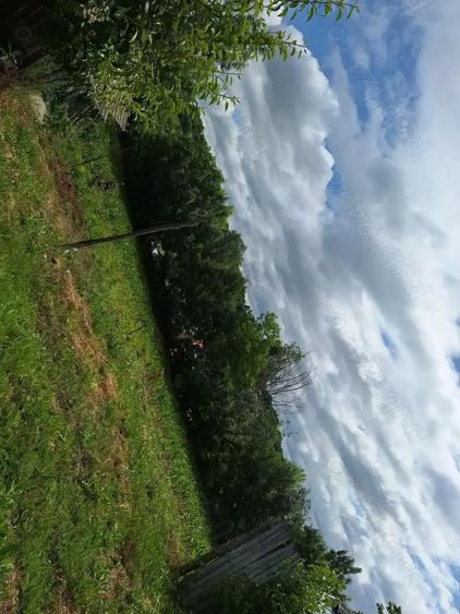 Vand casa plus teren - 5