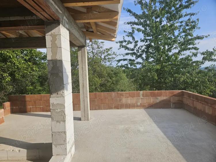 Casa la rosu in cicarlau - 2