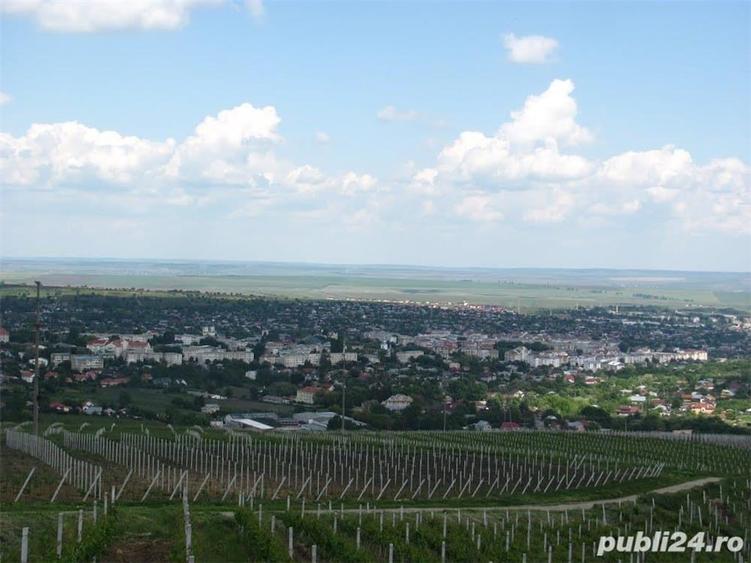 Teren de 1000 mp, în Central