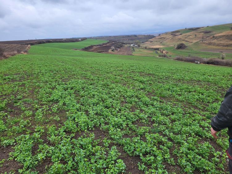 Teren Ocna Sibiului( investitie) - 2