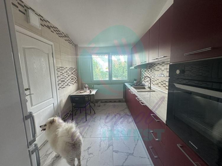 Vilă cu piscină și teren 563 mp, Dristor - 6