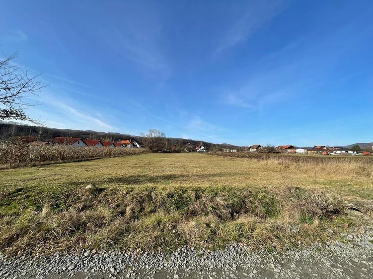 Teren de vanzare - 3