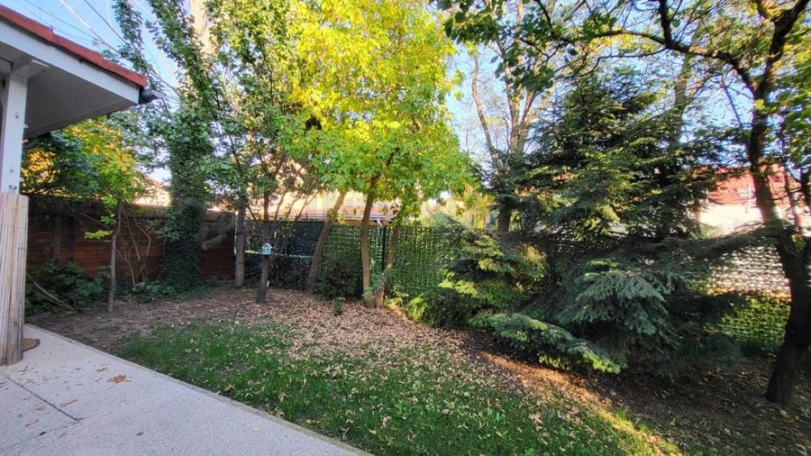 REV2004995 Vila de inchiriat I Pipera I Azur Residence - 16