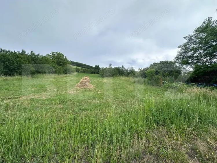 Casa de vanzare 5 camere , garaj si teren 5000 mp - 14