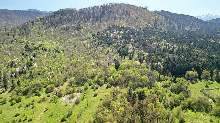 Teren Intravilan parcele 1000mp - 16