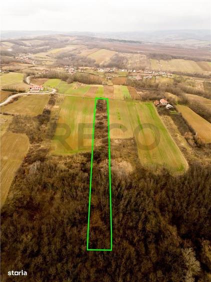 RECO Teren intravilan in Ceica Bihor - 8