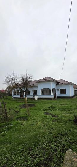 Casa de vanzare in Li?a (Teleorman) - 6
