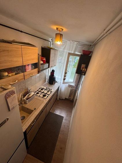 Apartament 3 camere, parter Aleea Stejarului - 6