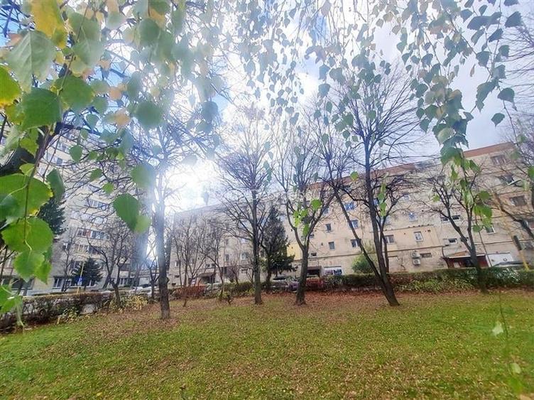 In proximitatea Parcului Coral, garsoniera renovabila, cartier linistit si verde