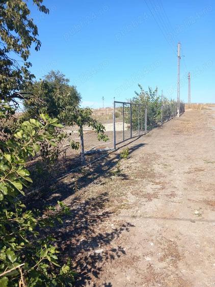 Vand casa Botoroaga, Teleorman - 4