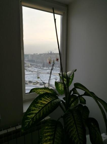 Investiție Premium în Inima Capitalei: Apartament 3 Camere la Metrou Unirii - 4