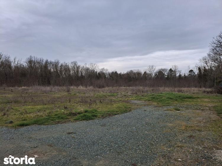 Neptun teren intravilan construibil 1750 mp - 1