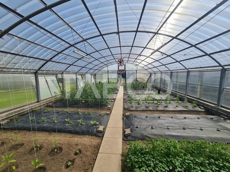 Vila cu piscina de vanzare in Sebes zona centrala - 20