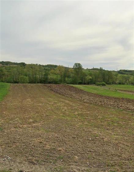 RECO Teren extravilan in Dragesti spre Stracos 6552mp - 1