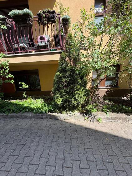 Ap la demisol 3 camere 50mp str Scolii Dambul Rotund! Parcare inclusa - 2