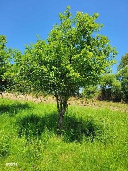 CASA cu panorama si teren generos - 4