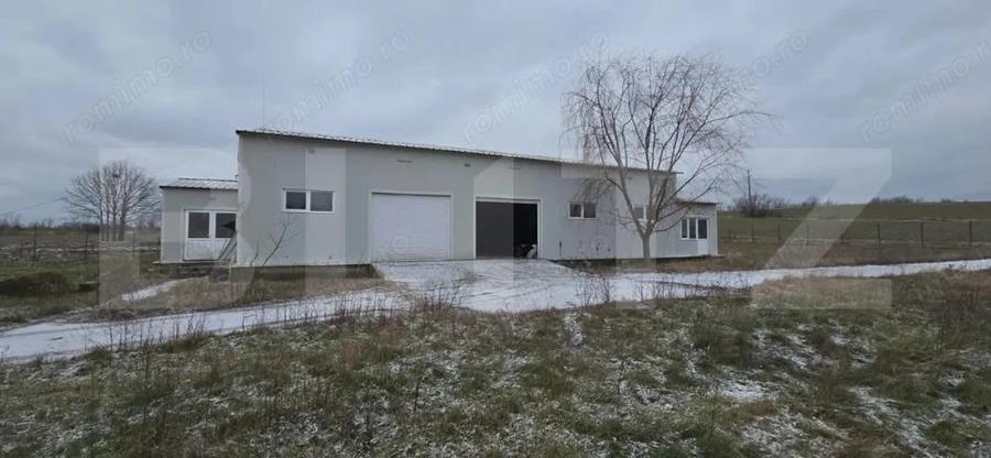 Hala industriala/comerciala, 190 mp, teren 2460 mp, Vulpeni - 4