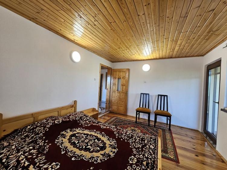 Vila superba de vanzare in Vintila Voda, Buzau D+P+1 si anexe - 33