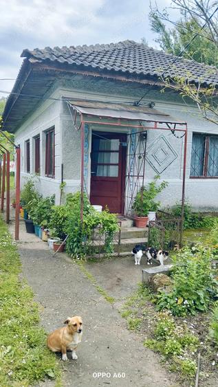 Case de vanzare la sat - 4