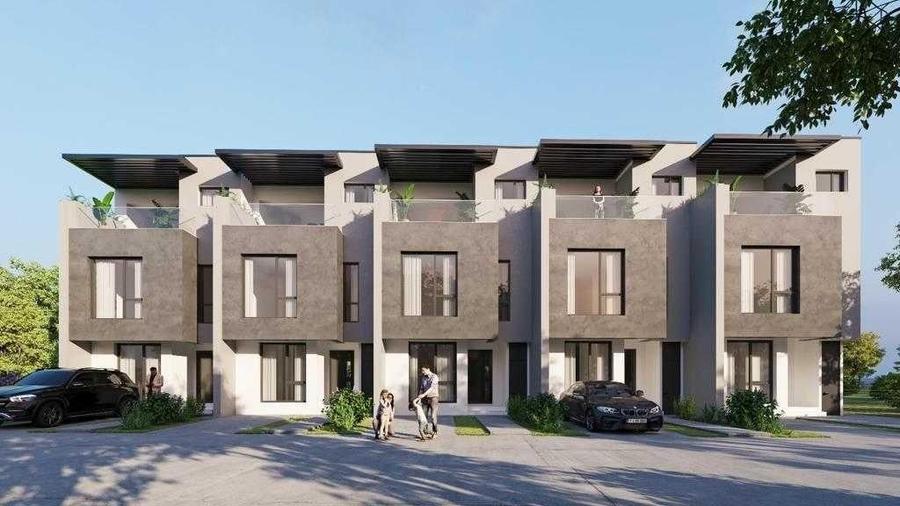 VILE CUPLATE/ P+2 / MATEI MILLO / 2025 - 11