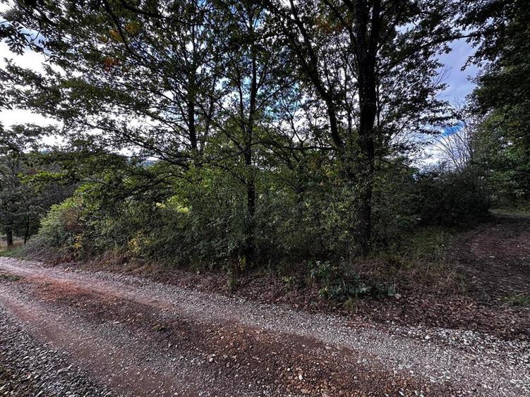 RECO Teren intravilan  Zona Vadu Crisului Bihor - 7