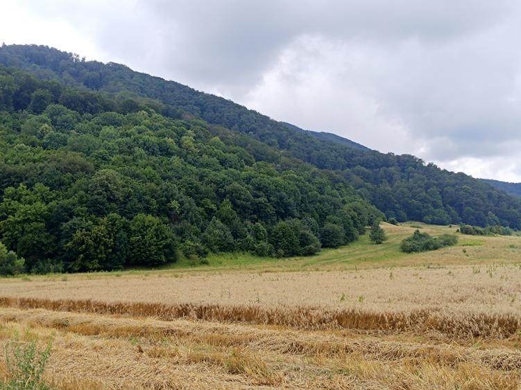 Brașov Bartolomeu,str Cucului , Intravilan 16.500 mp, dezvoltare rezidentiala - 3
