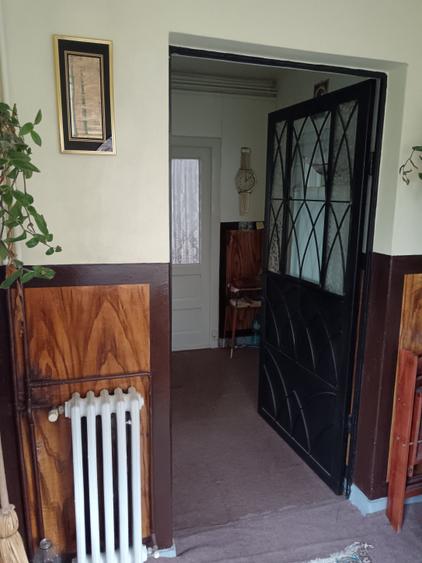 Vila deosebita in zona Cantacuzino - 4