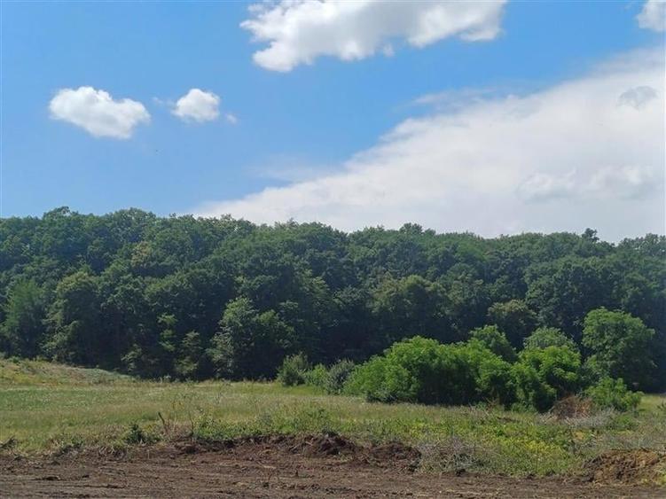 Loturi de 1000 mp de vanzare la Sura Mare - 3