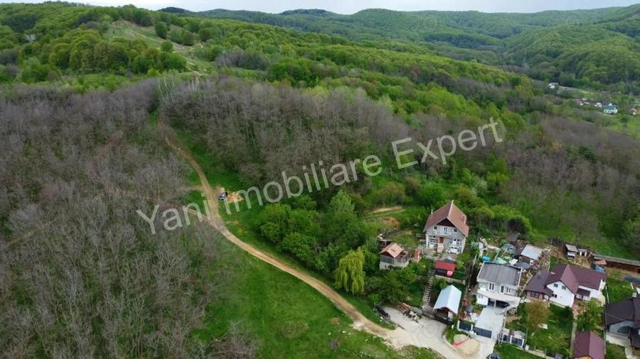 Teren de vanzare in Curtea de Arge?, strada Paune?ti. - 6