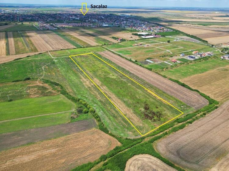 Teren Sacalaz 3,6 Ha - Pretabil PUZ Locuinte - 2