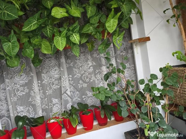 Apartament 4 camere,etaj 3,Militari,Gorjului,Bucuresti - PROPRIETAR - 1