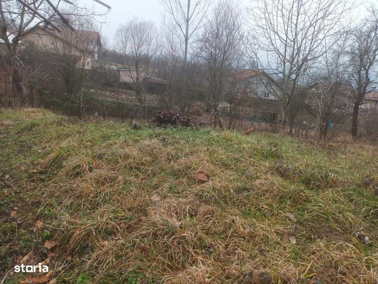 Teren intravilan - 5