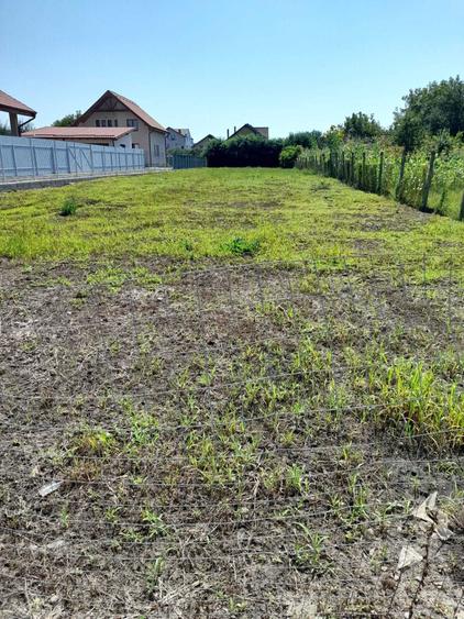 Teren intravilan de vanzare in Sangeorgiu de Mures, 1300 mp - 2