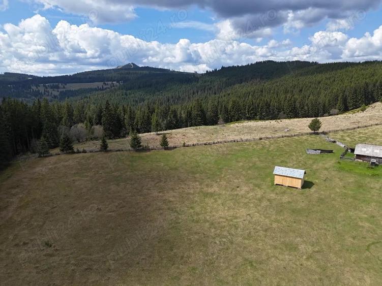 Teren de vanzare 15 hectare in Bucovina Moldova Sulita zona Lucina - 8