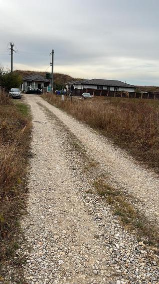 Balotesti Margeanului 1060 mp 34euro/mp - 1