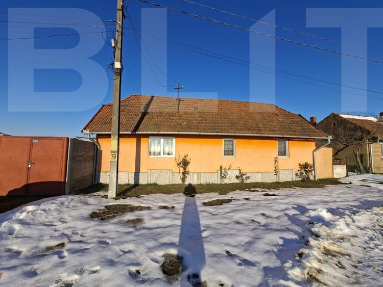 Casă individuală cu 4 camere cu Canalizare în Lugoj