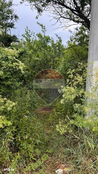 Teren de 20798 mp, în Prunișor
