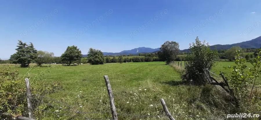 Teren de 9350 mp, în Bran