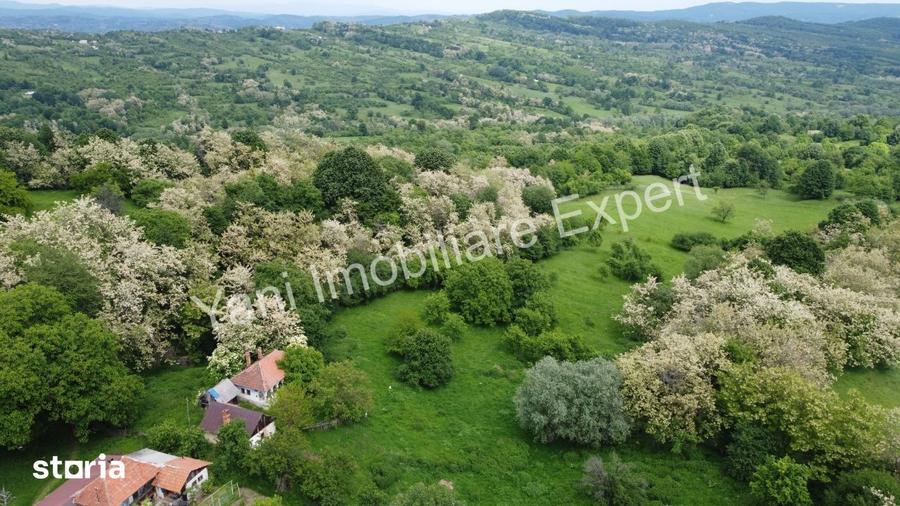 Teren de 34600 mp, în Tigveni