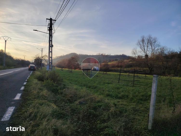 Teren de 2619 mp, în Bârsana