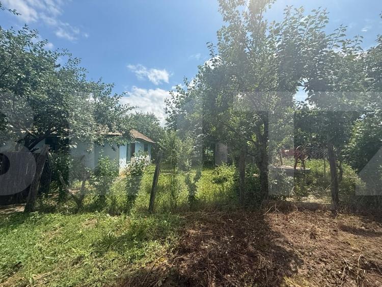 Casă individuală cu 2 camere cu Teren 5000 Mp în Schit-Orășeni