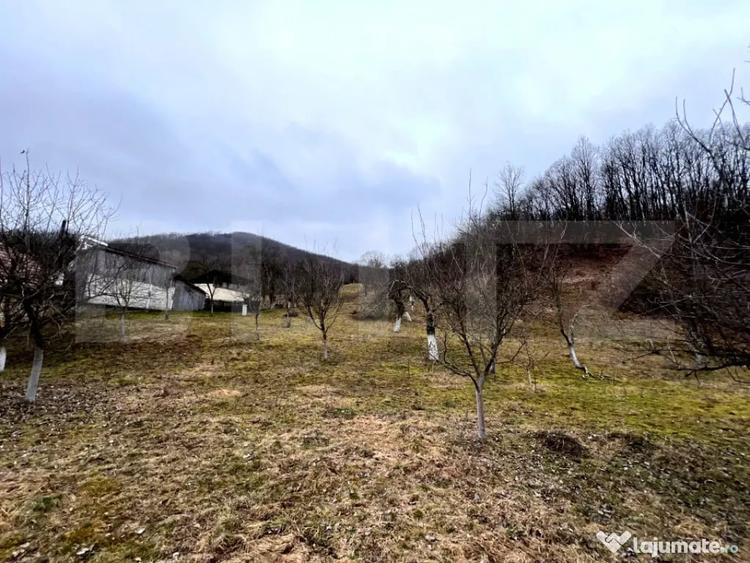 Teren în Stremț
