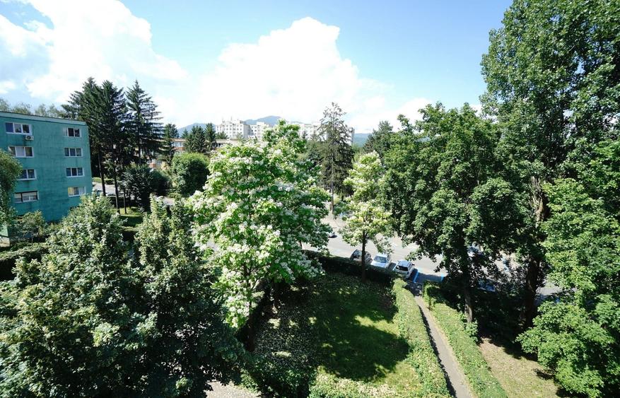 Apartament cu 2 camere semidecomandat în Drumul Carului