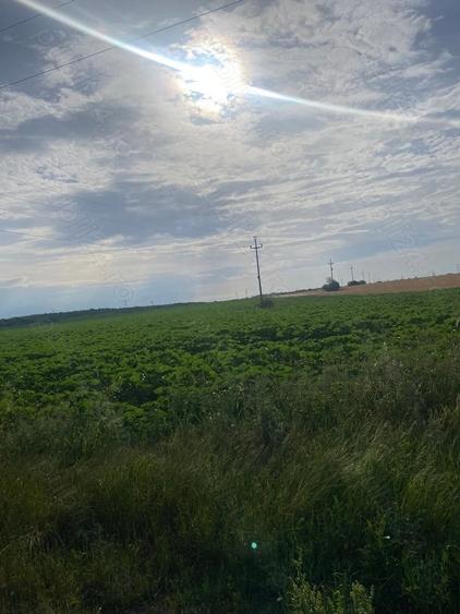 Vand teren extravilan,strada agricultorului din municipiul Slatina ,S=5150 mp deschidere 15 m - 2