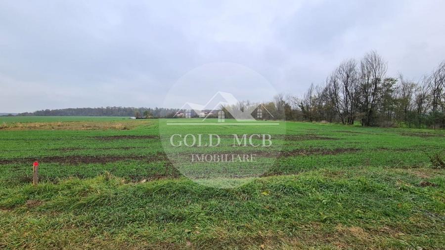 Teren Branesti -Romancierilor - 2