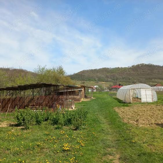 Vand casa Lozna jud Salaj - 3